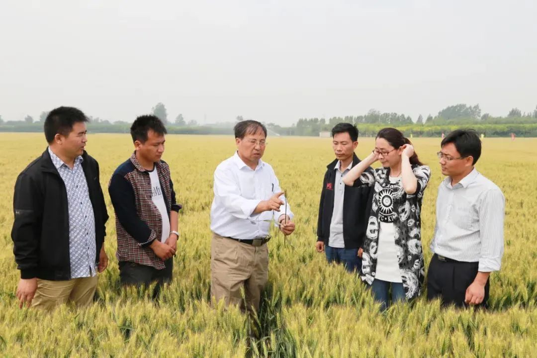 1649346445808117.jpg 图片